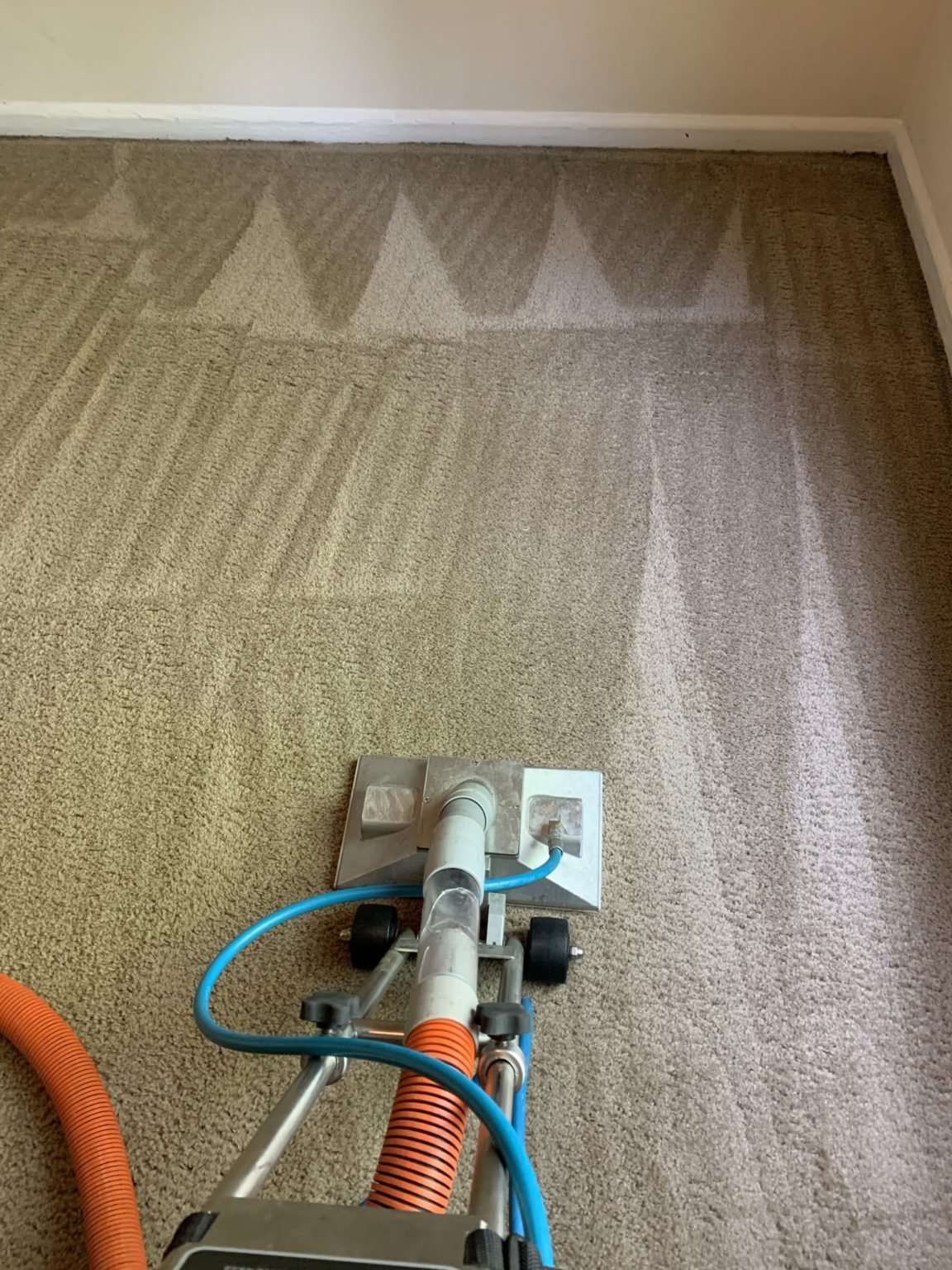 Carpet Cleaning Columbia