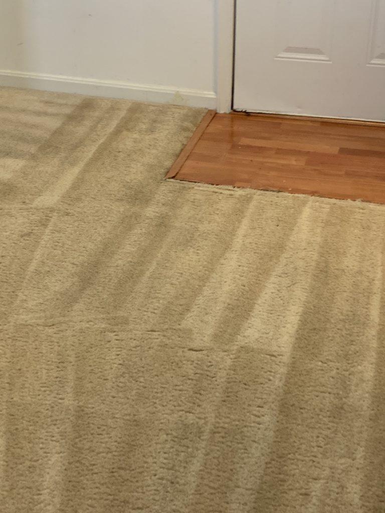 B05E4D37 4D50 41BE 9EF6 B4706A8DCFE1 scaled