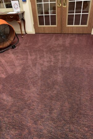 12AD4E90 38D5 47F1 B2C5 B797ACB941B4